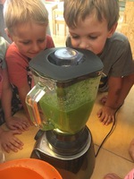 Zelené smoothie - Děti vaří - Mateřinka Brno